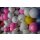 Golfbälle crystal - Qualität AAAA/AAA gemischte Farben